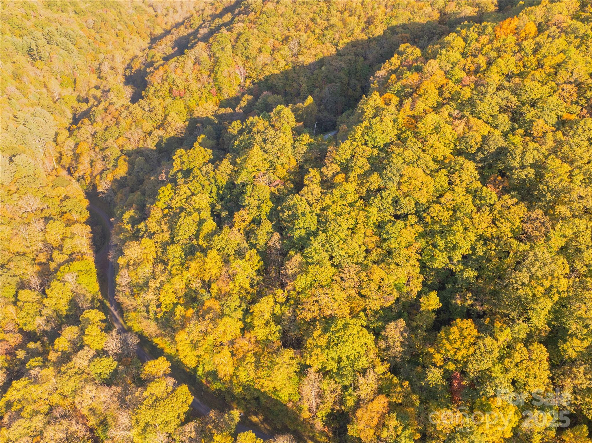 Brush Creek Properties - Land