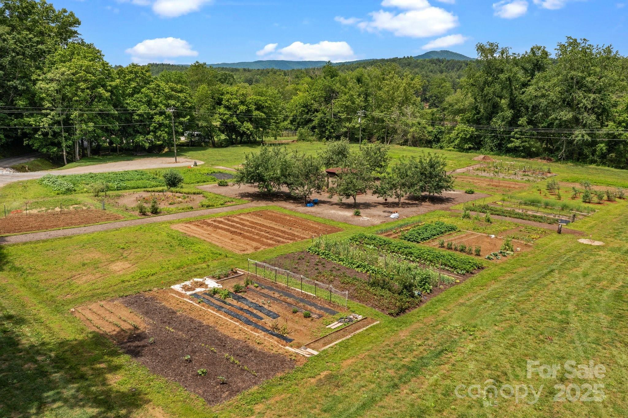 The Coves Mountain River Club - Residential