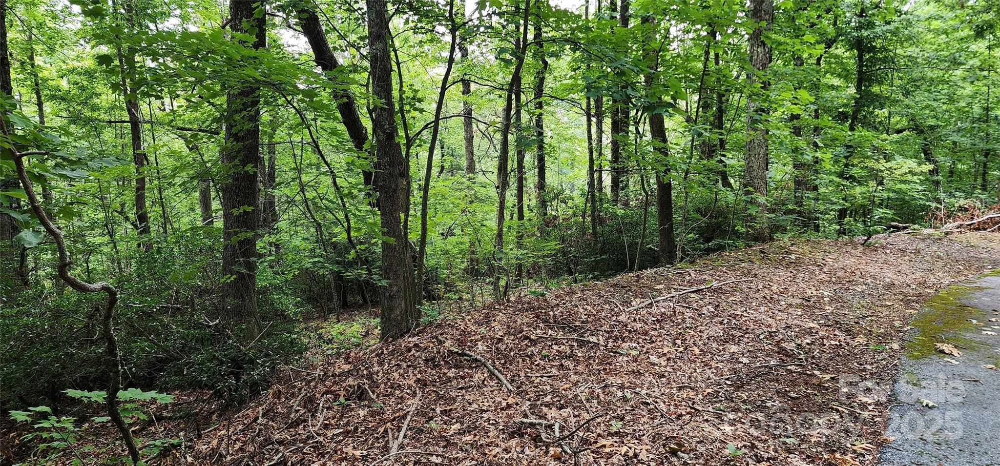 White Oak Mountain - Land