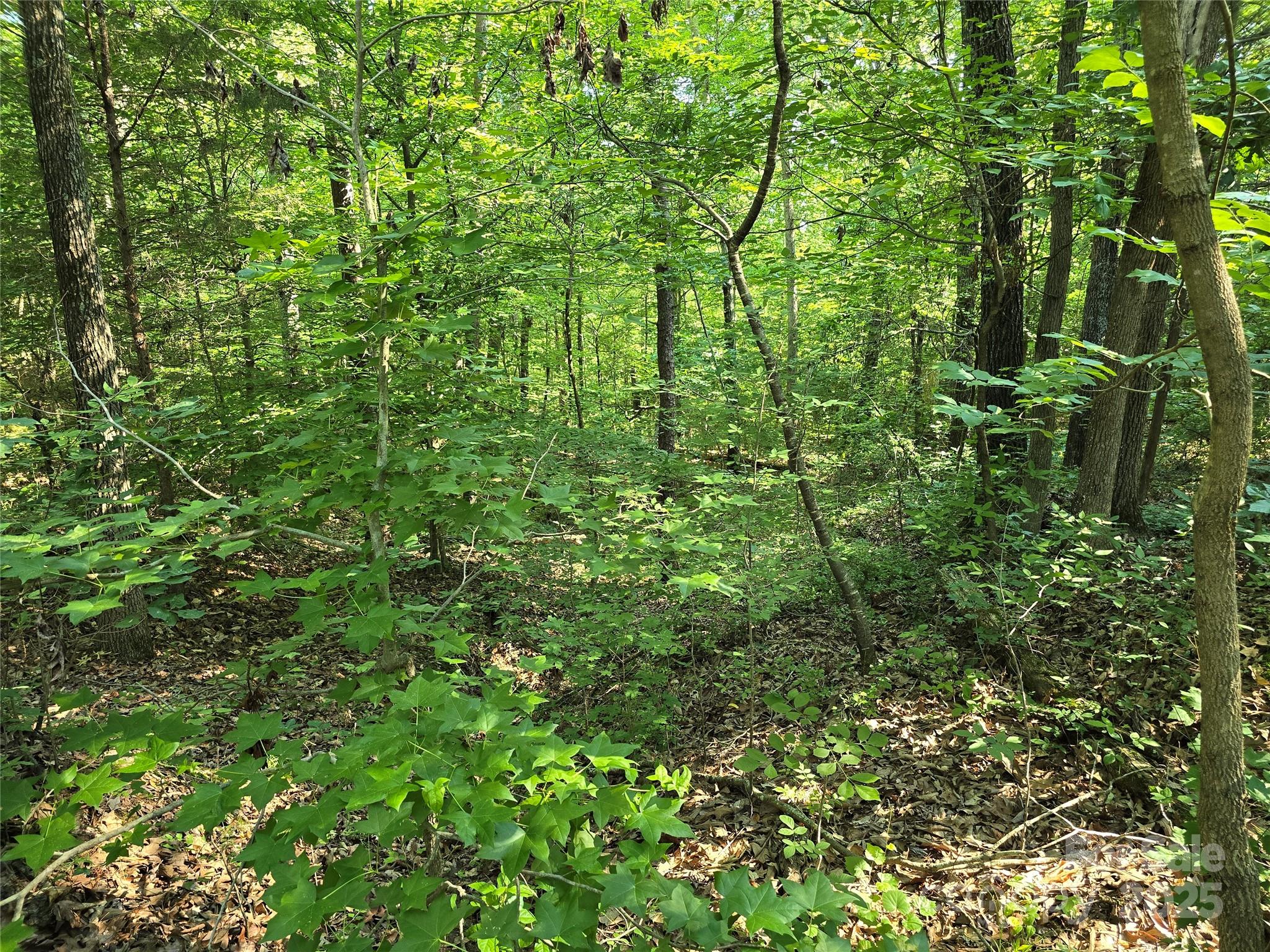 TBD Wildwood Road