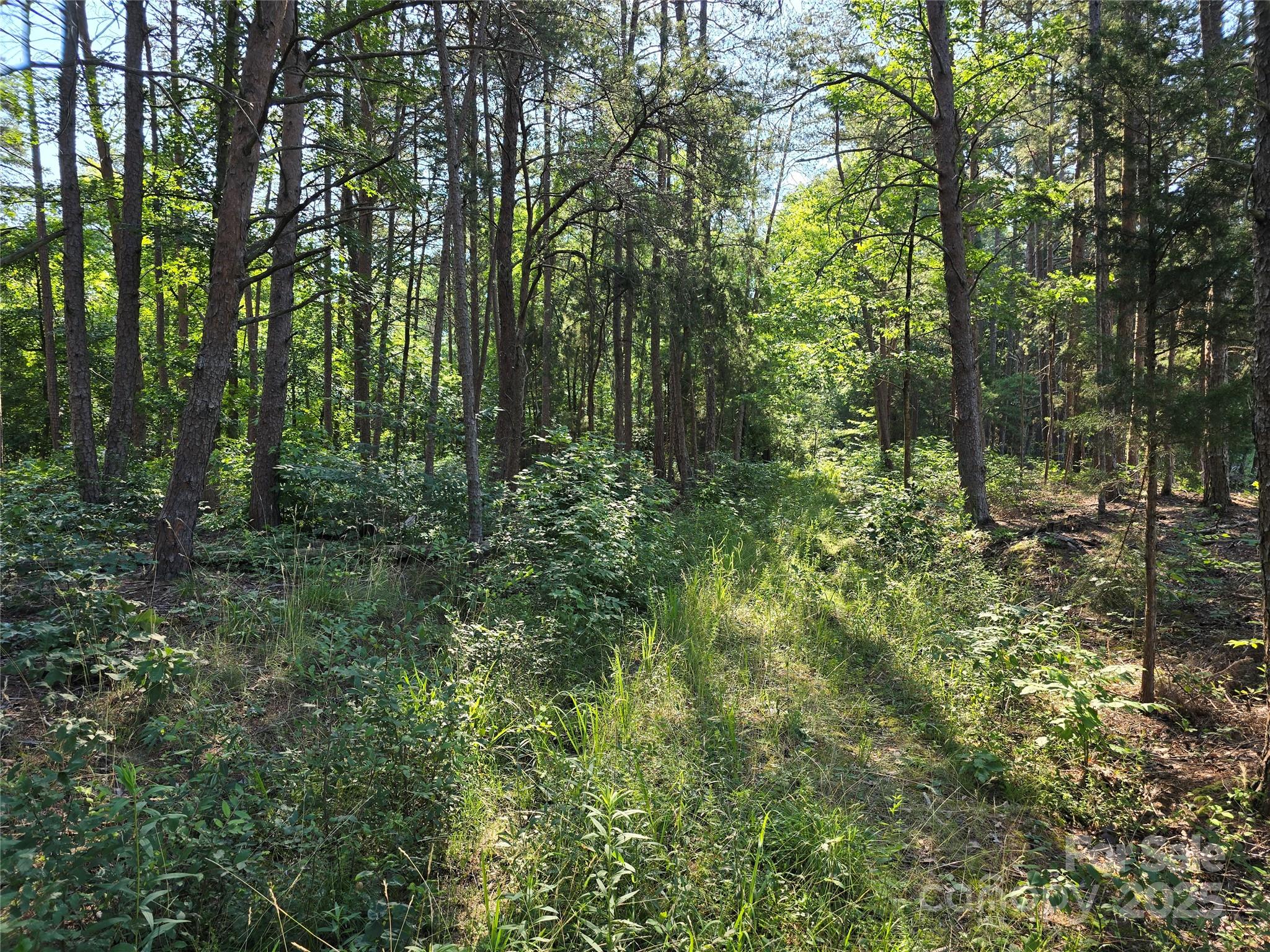 TBD Wildwood Road