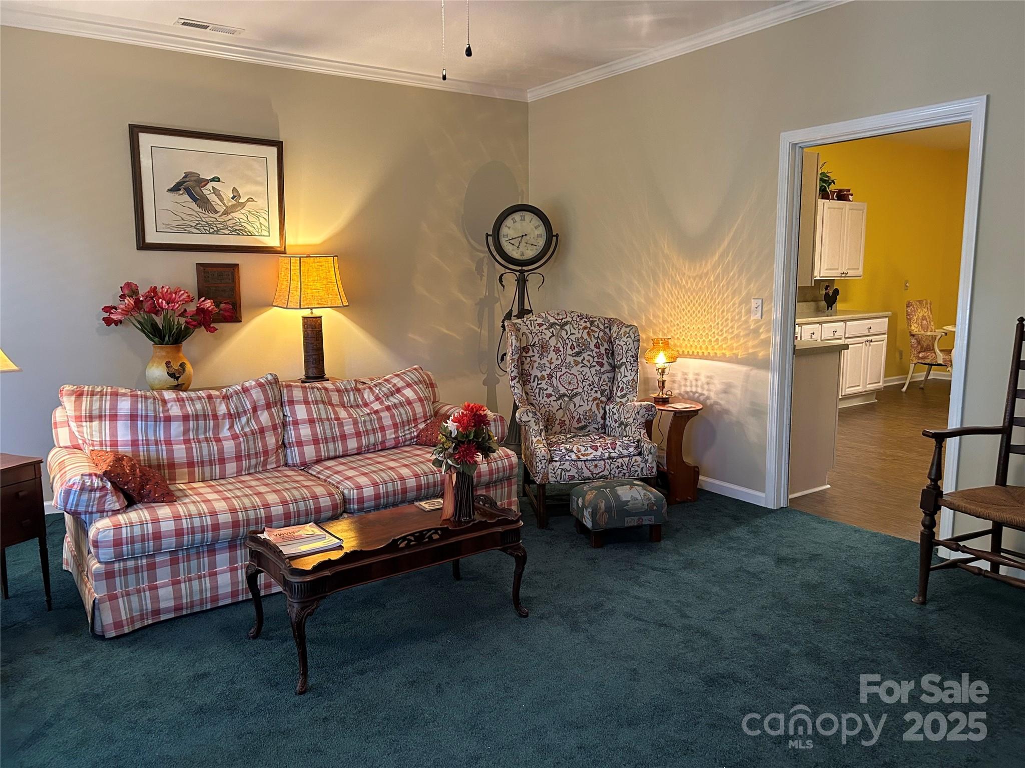 Salley Hill - Residential