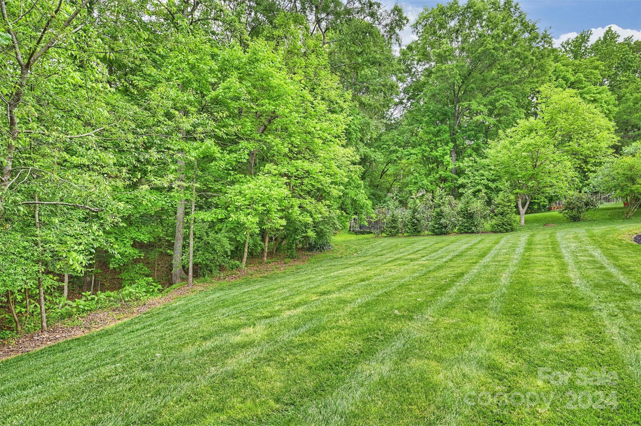 Blantyre - Residential