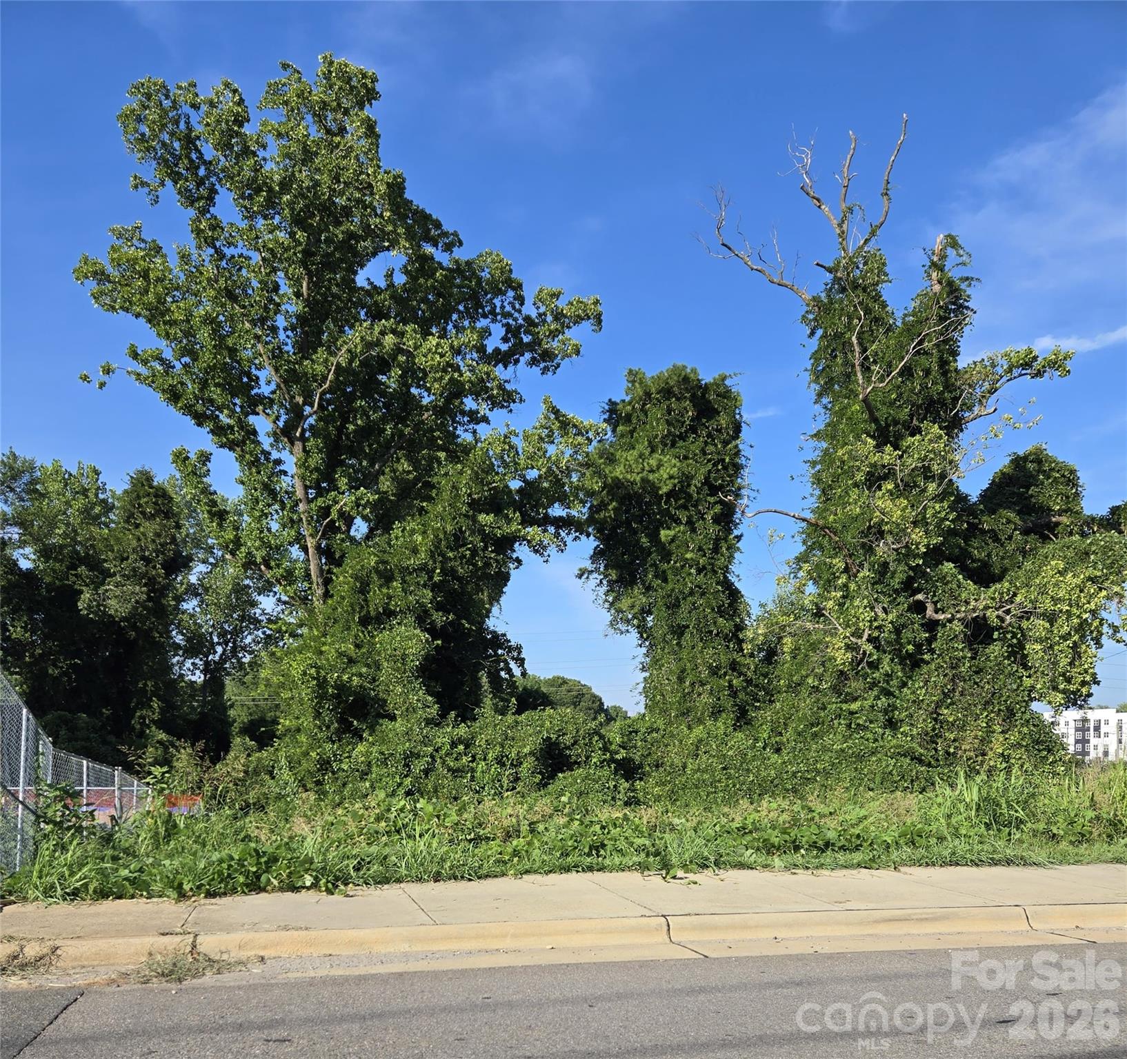 204 W 28th Street, Charlotte, NC, 28206