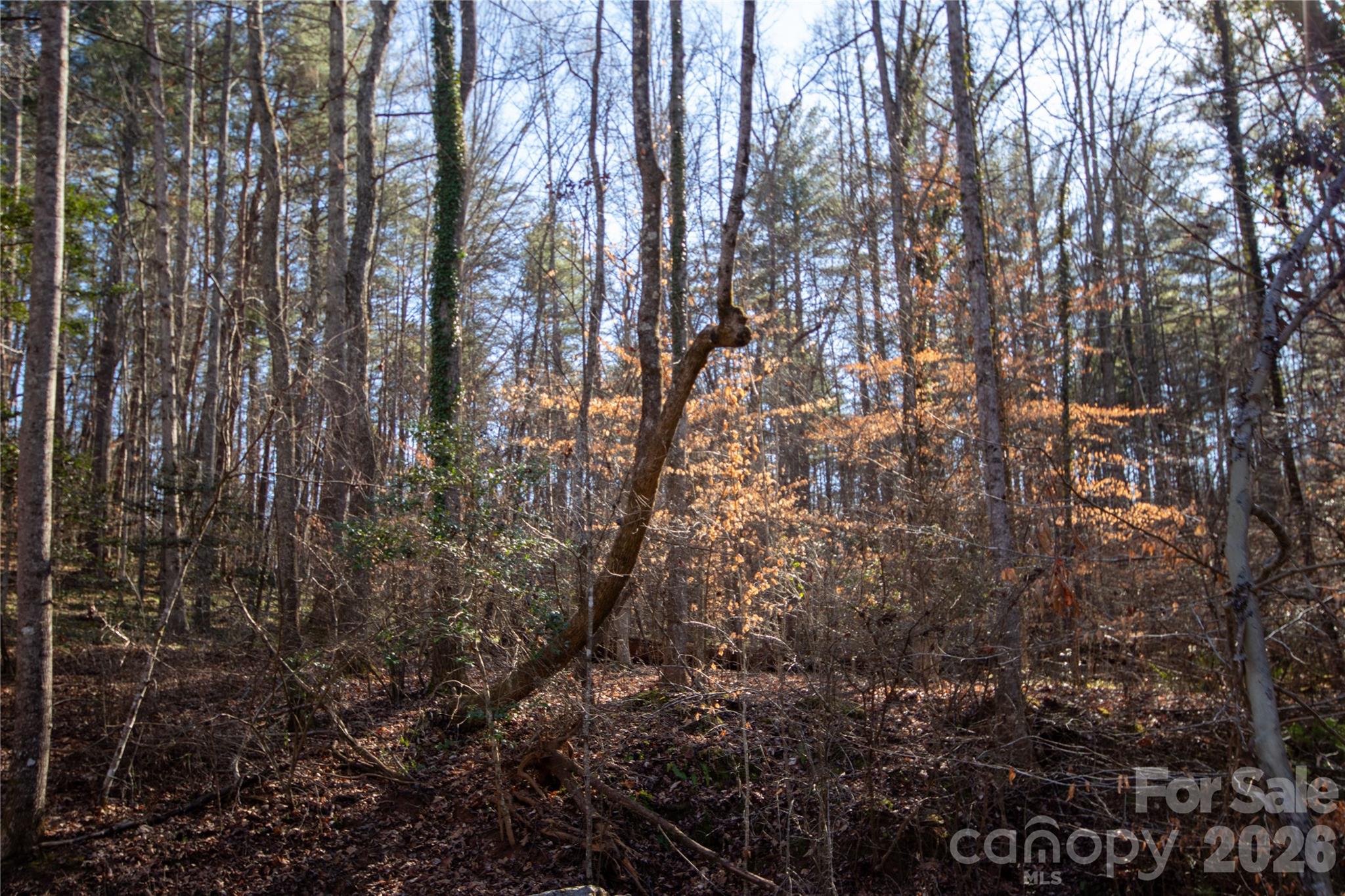 35.92 Acres HARRISBURG Drive