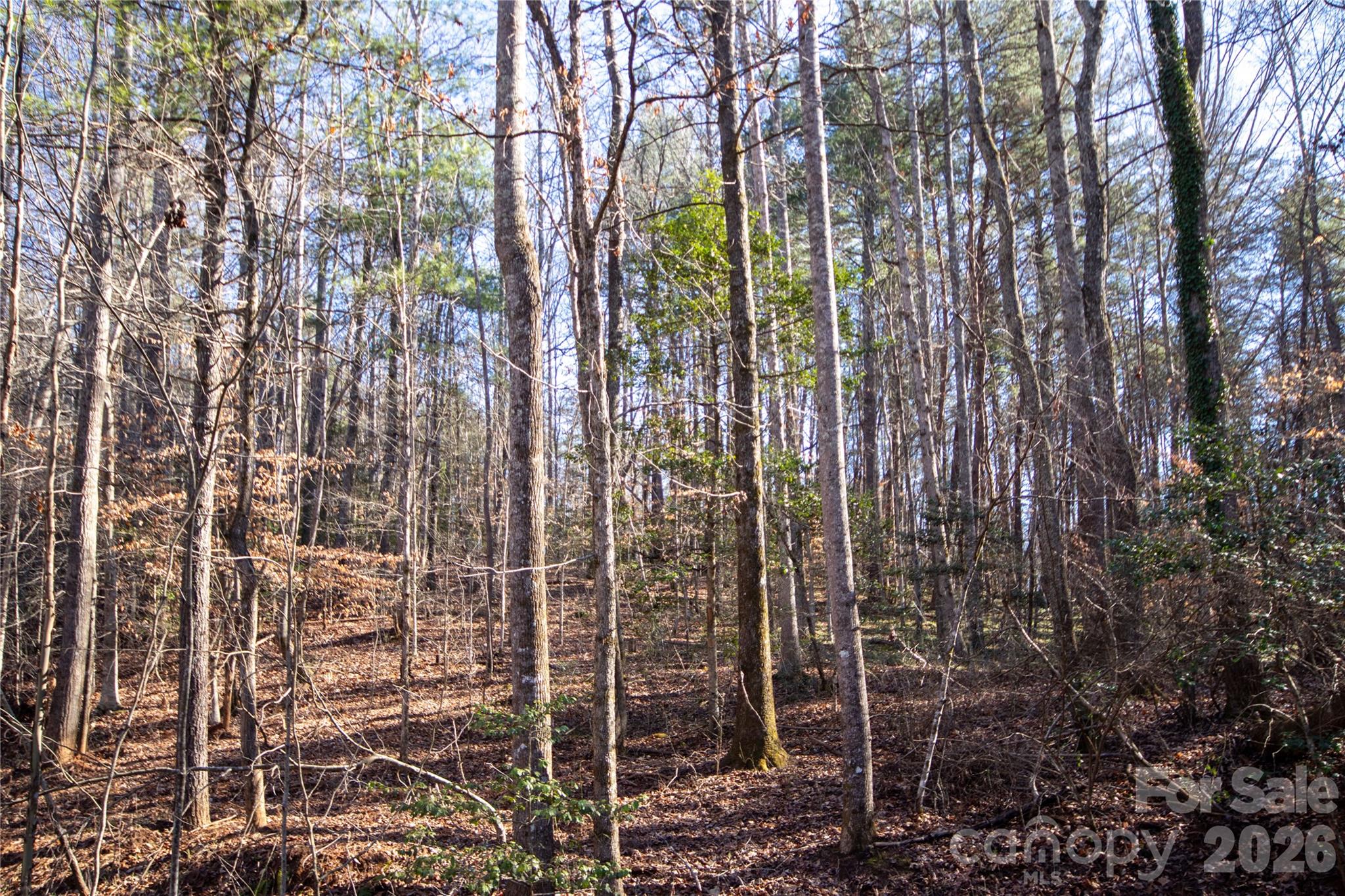 35.92 Acres HARRISBURG Drive