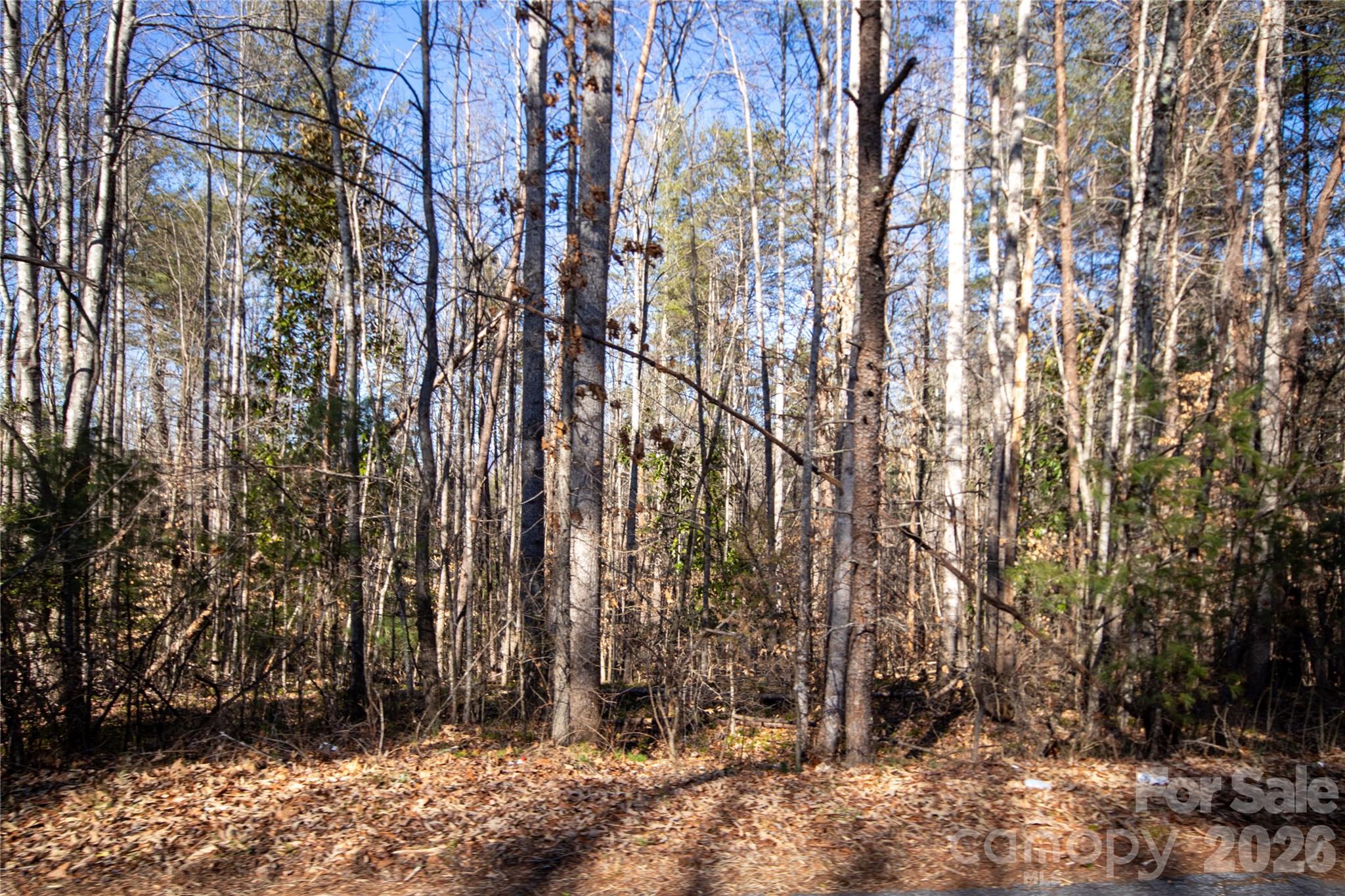 35.92 Acres HARRISBURG Drive