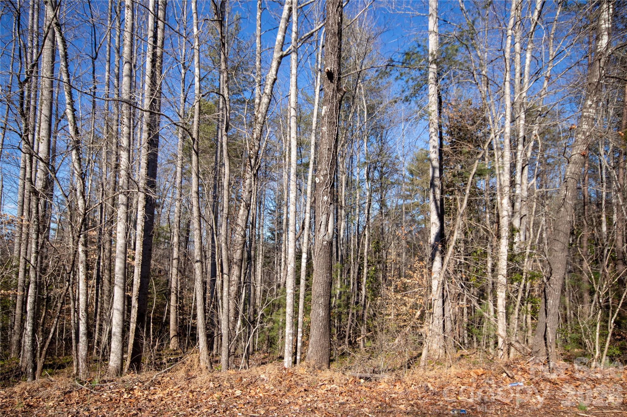 35.92 Acres HARRISBURG Drive