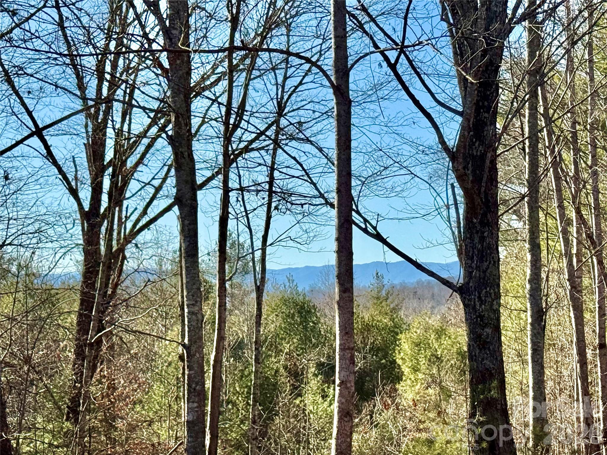 54.2 acres, Lot 837 High Valley Way 837