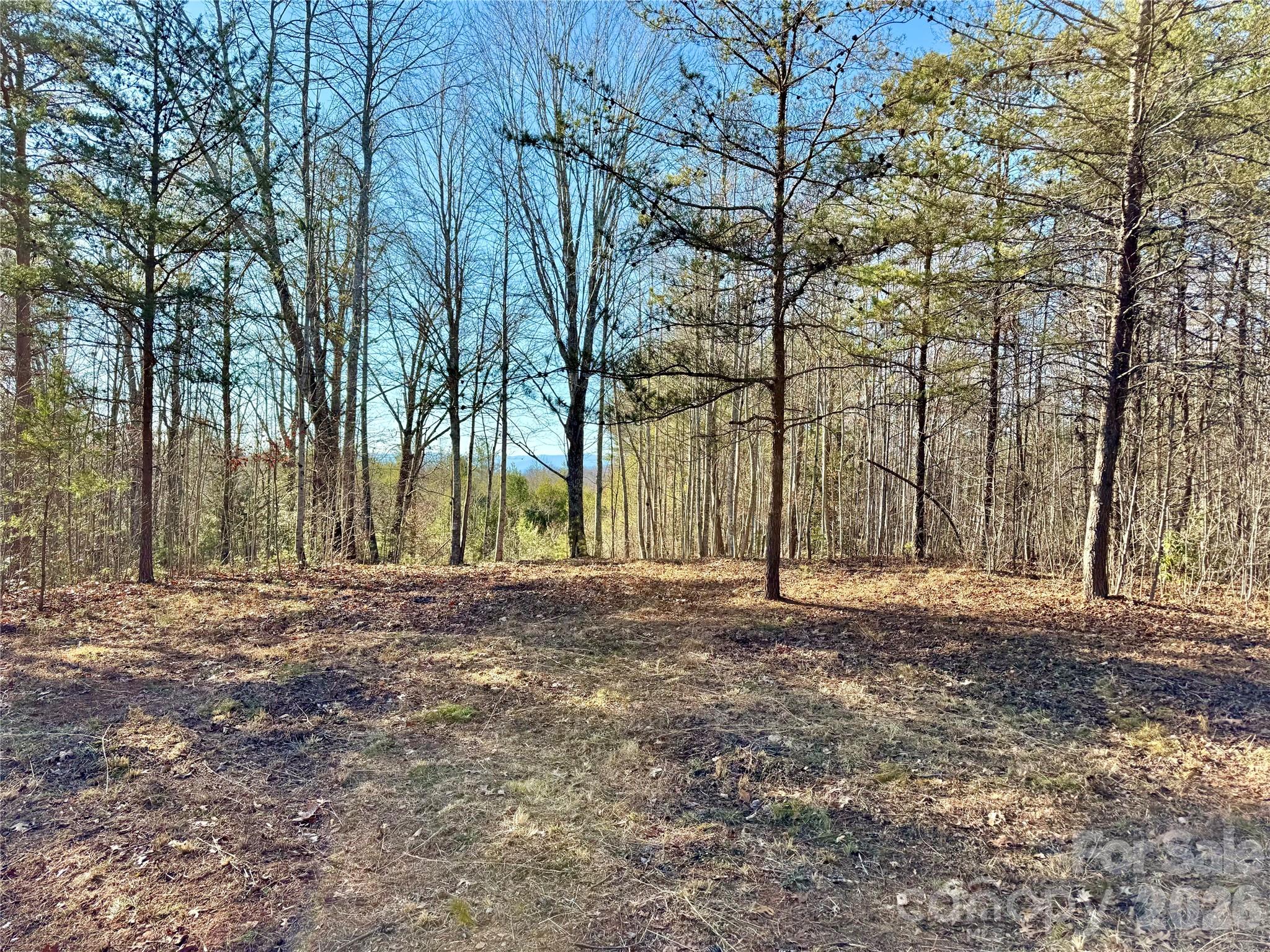 54.2 acres, Lot 837 High Valley Way 837