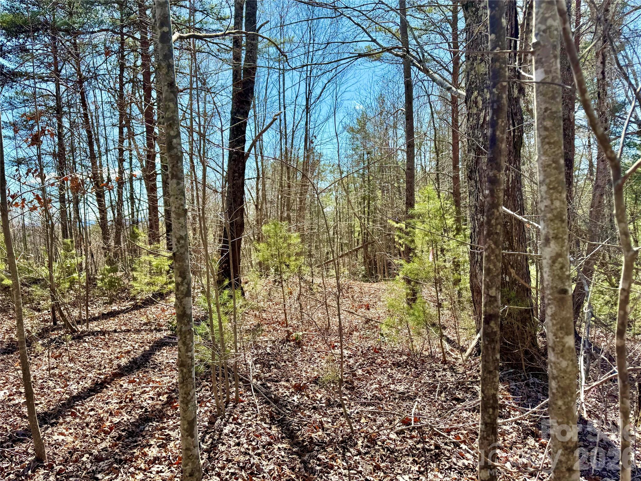 54.2 acres, Lot 837 High Valley Way 837