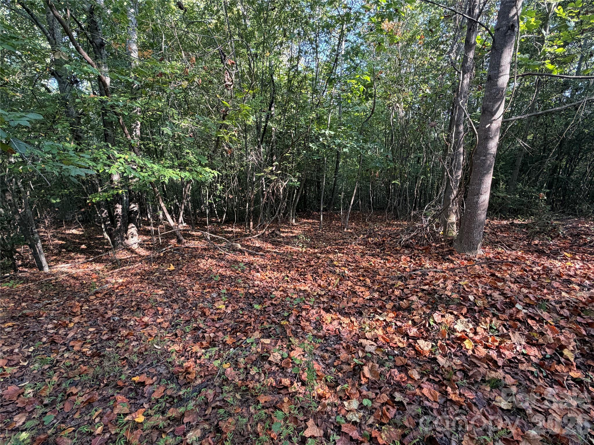 671 Hames Ridge Road