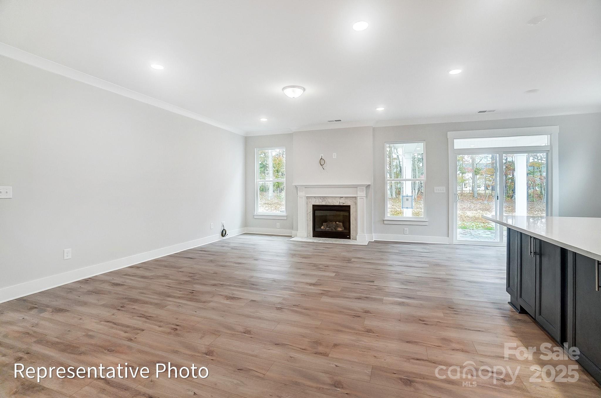 4003 Grace Pointe Drive 99