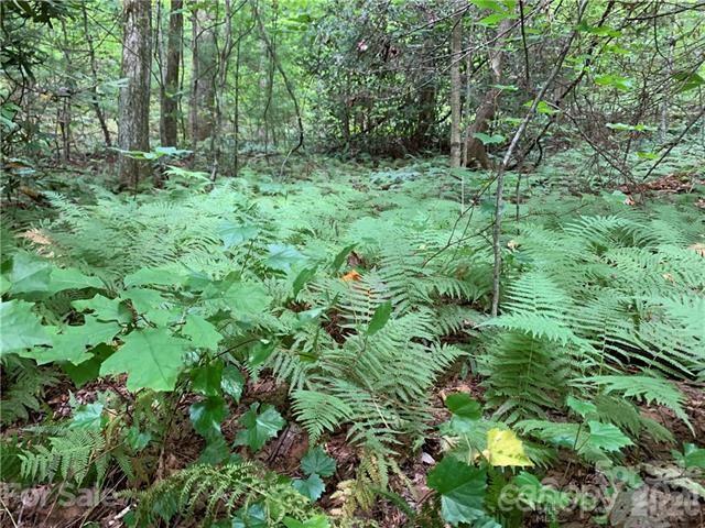 Round Mountain Falls - Land