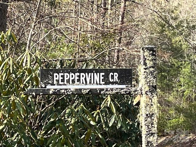 0000 Peppervine Circle 98