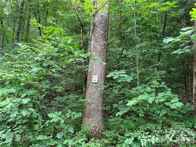 Round Mountain Falls - Land