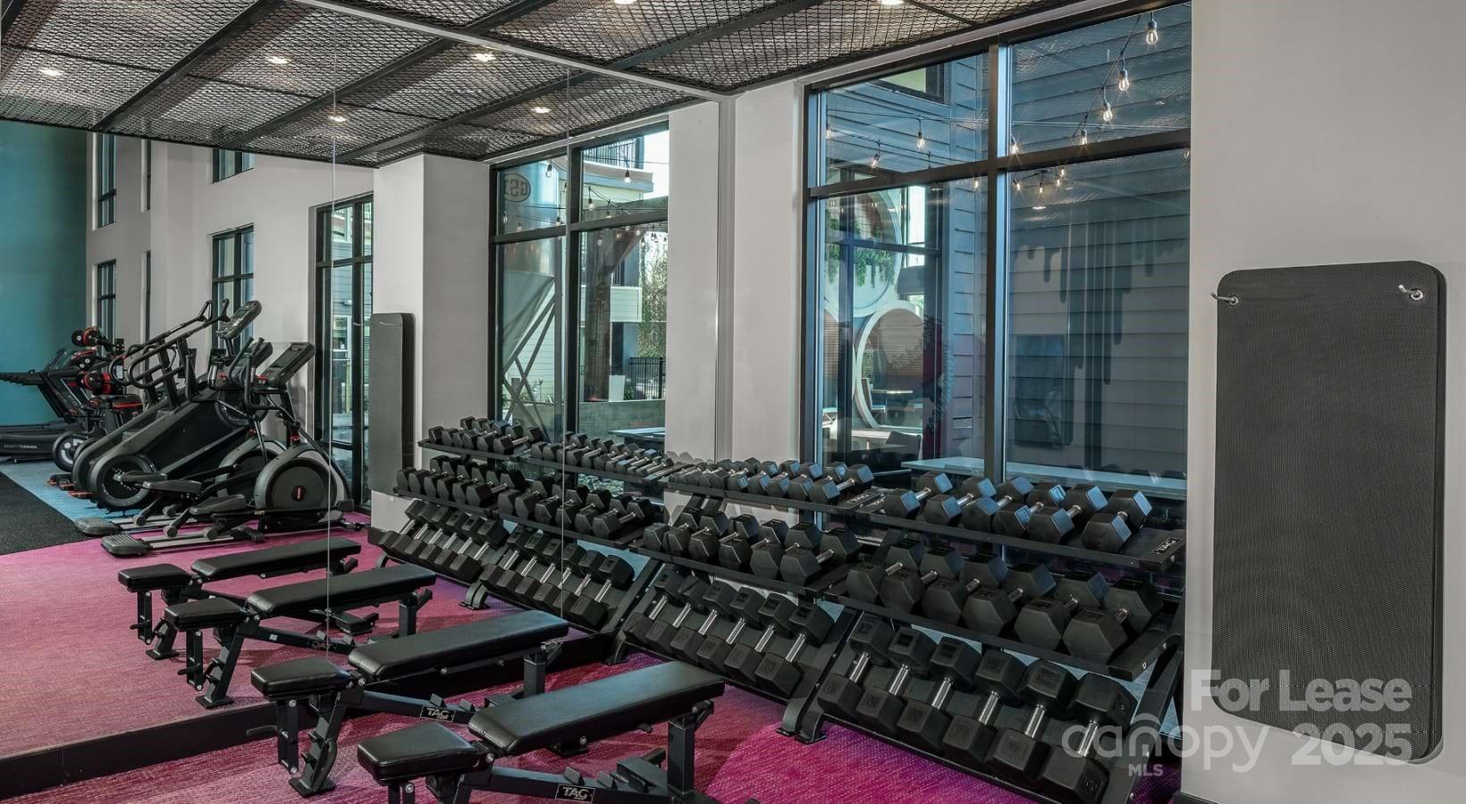 Charlotte, North Carolina 28206, United States, 1 Bedroom Bedrooms, ,1 BathroomBathrooms,Residential,Active,140031