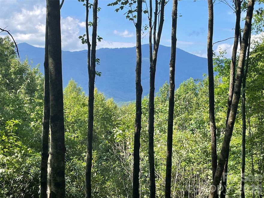 If you’re looking for gorgeous mountain views, look no further! Located at roughly 3,500 ft in elevation, this homestead has beautiful Northern mountain views. This lot offers quick access to Dark Ridge Camp and some of the best hiking trails and creeks on the mountain. Balsam Mountain Preserve is a private 4,400-acre club community with 3,200 acres of conservation land and completed amenities featuring golf, equestrian, scenic trails, tennis and dining. The stunning new facilities at Doubletop Village, including the Summit House Restaurant and Mine Tavern, are now open to members and their guests.