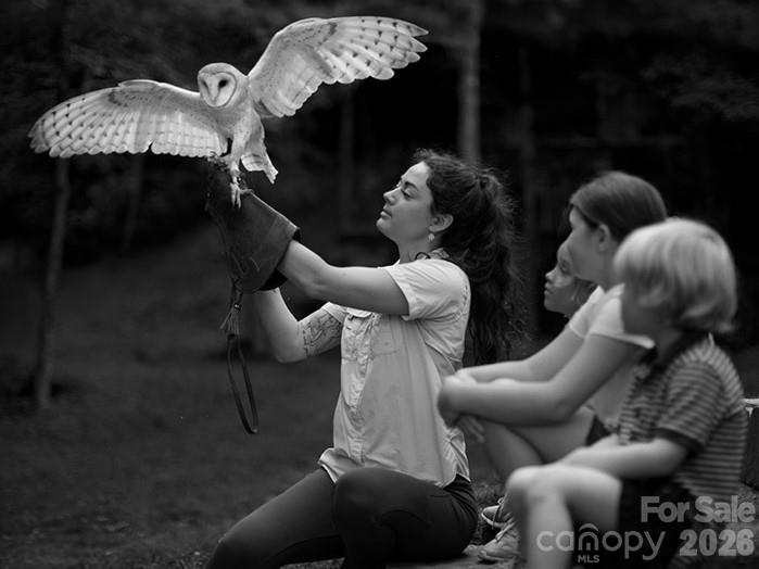 Balsam Mountain Preserve - Land