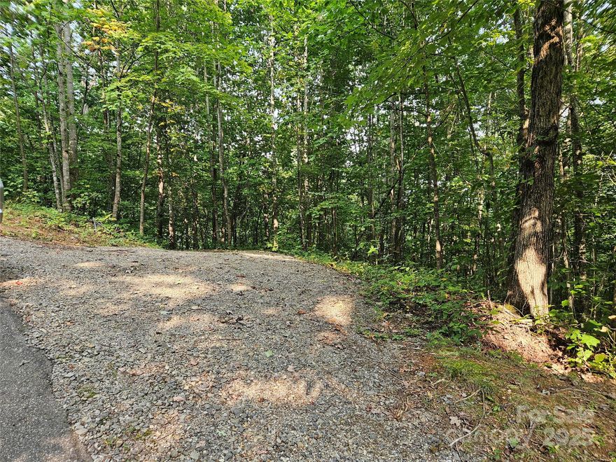 Come see the possibilities of this unrestricted 5.75-acre property located just off Mauney Cove Road roughly 10 minutes from downtown Waynesville, NC. Whether you're dreaming of a full-time mountain home, a peaceful vacation getaway, or flexible RV living, this versatile parcel offers the perfect canvas for any or all of the above! With underground power in place, an active septic permit, and the beginnings of a gravel driveway, much of the groundwork has already been started to make this a perfect mountain escape. The land features a natural spring, multiple potential homesites, and stunning winter views of Lake Junaluska, blending natural beauty with practical potential. An old logging trail winds through the property, making it ready for transformation into a private drive or scenic hiking path leading to your secluded retreat. Don’t miss this rare opportunity to create something truly special in the heart of the Smoky Mountains - bring your builder, your RV, or just your imagination, because the only thing missing is you. Call today for your private showing!