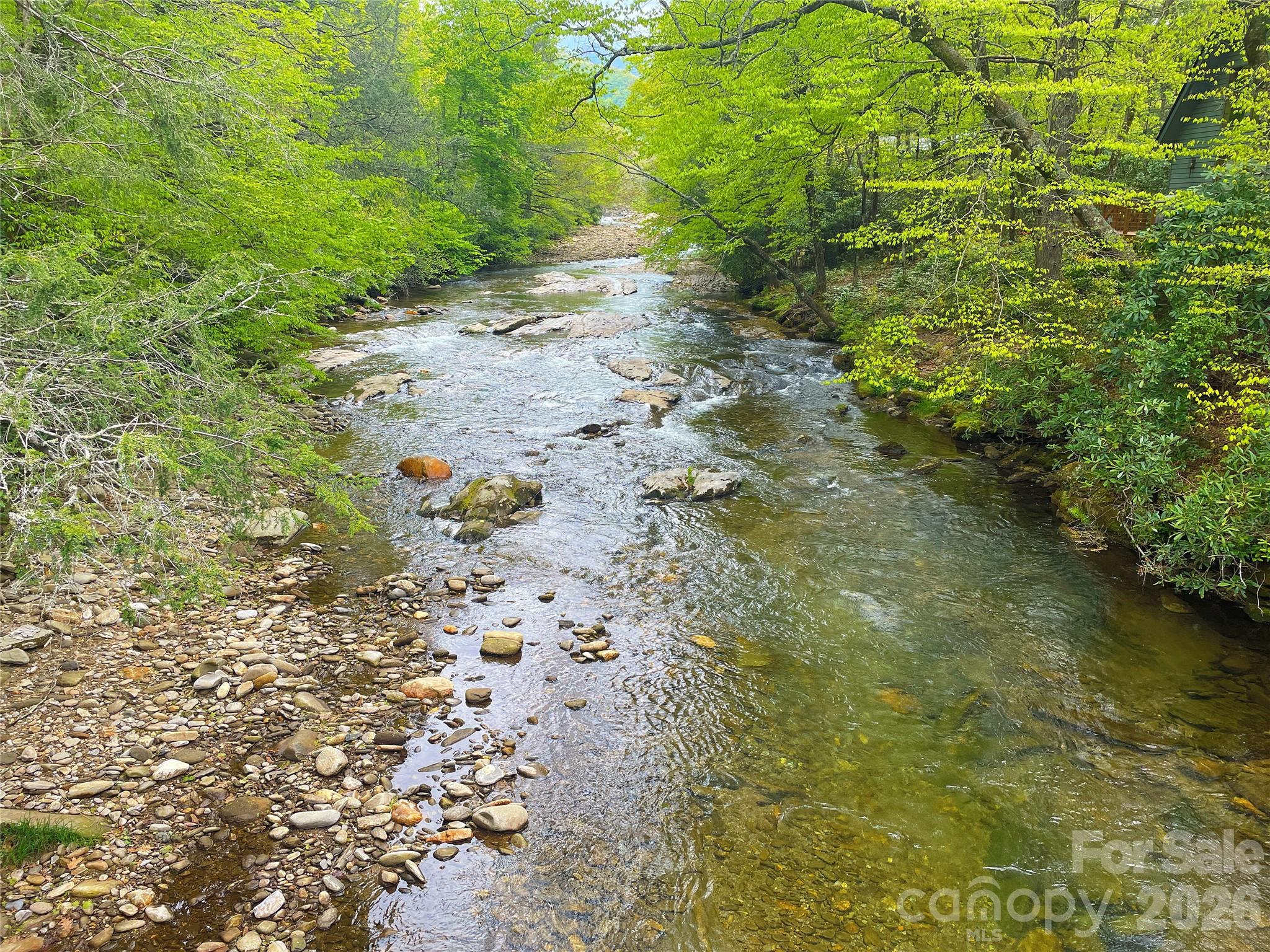 Mt. Mitchell Lands - Land