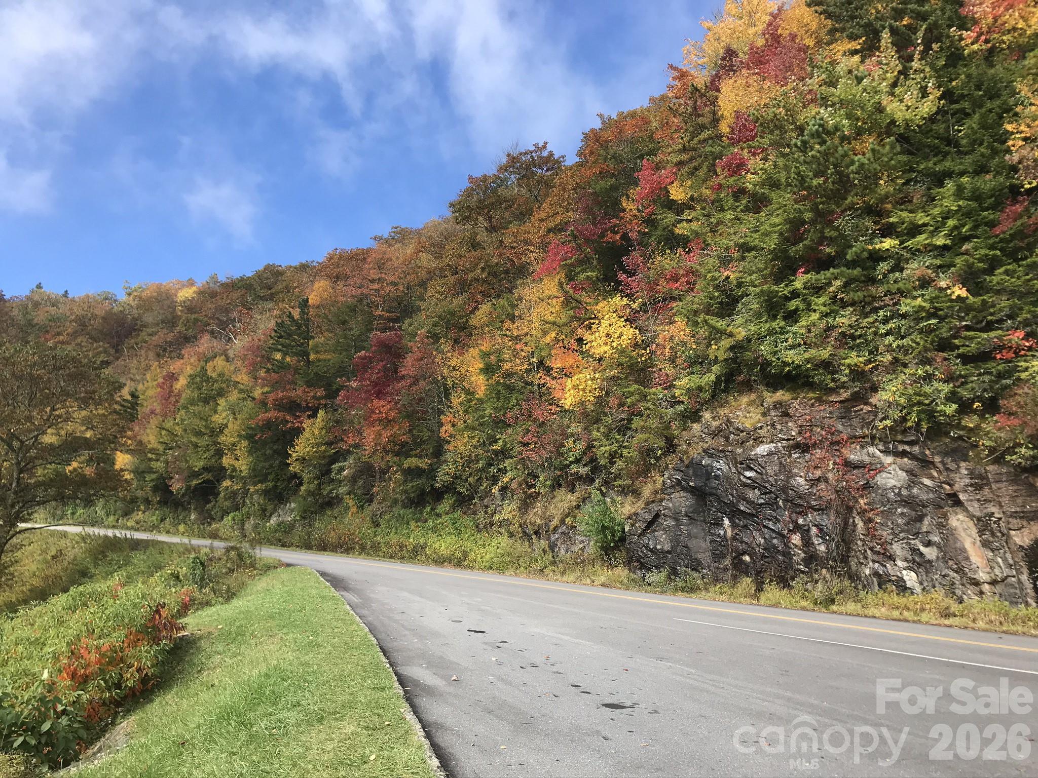 Mt. Mitchell Lands - Land