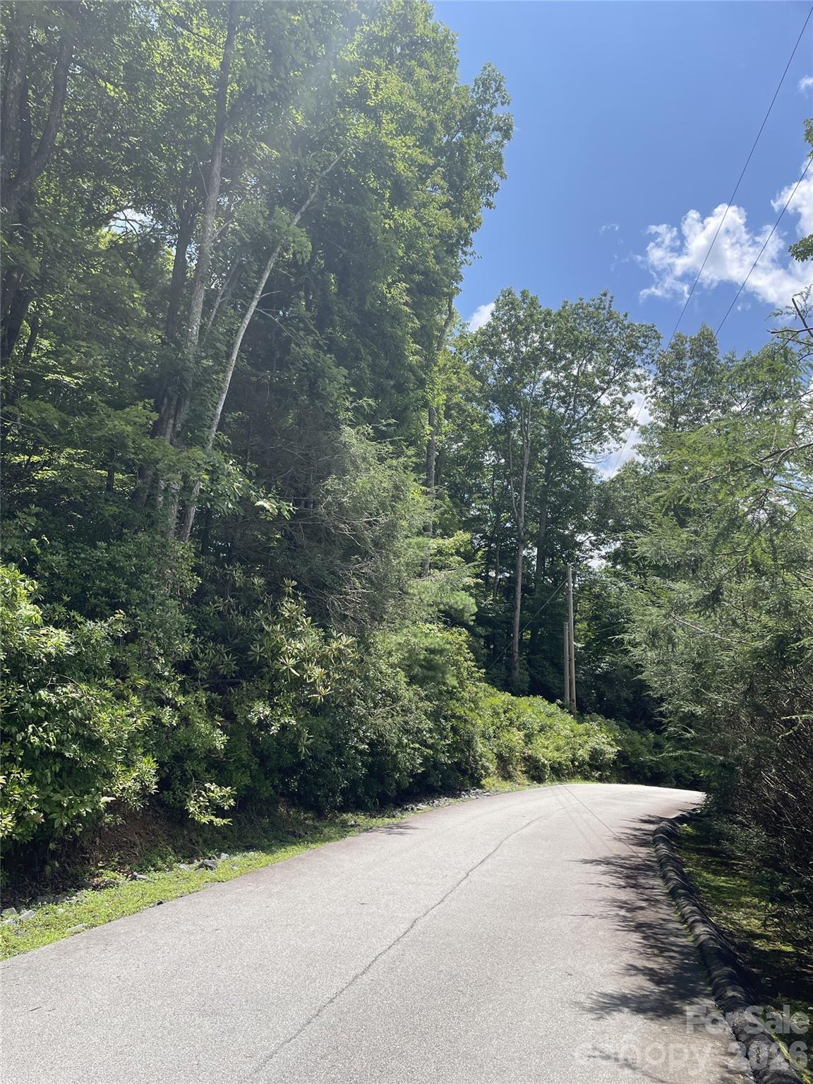Mt. Mitchell Lands - Land