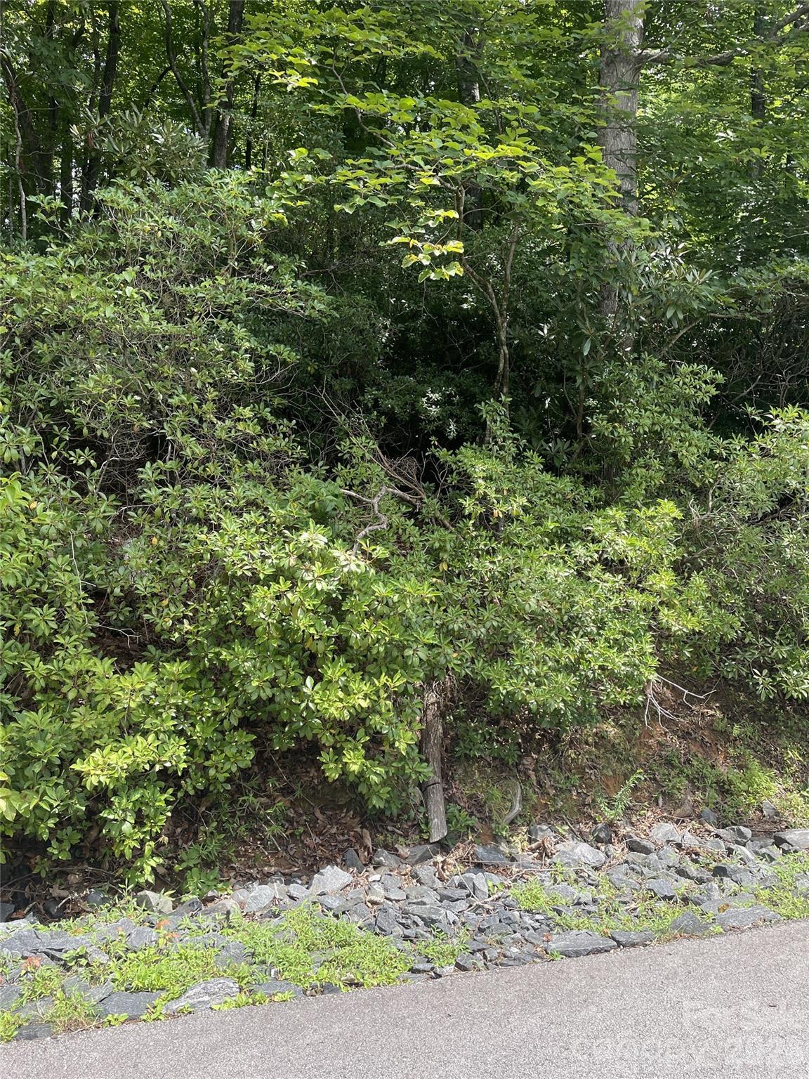 00 Winterstar Loop 17