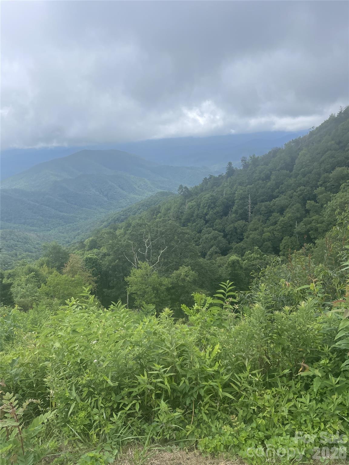 Mt. Mitchell Lands - Land