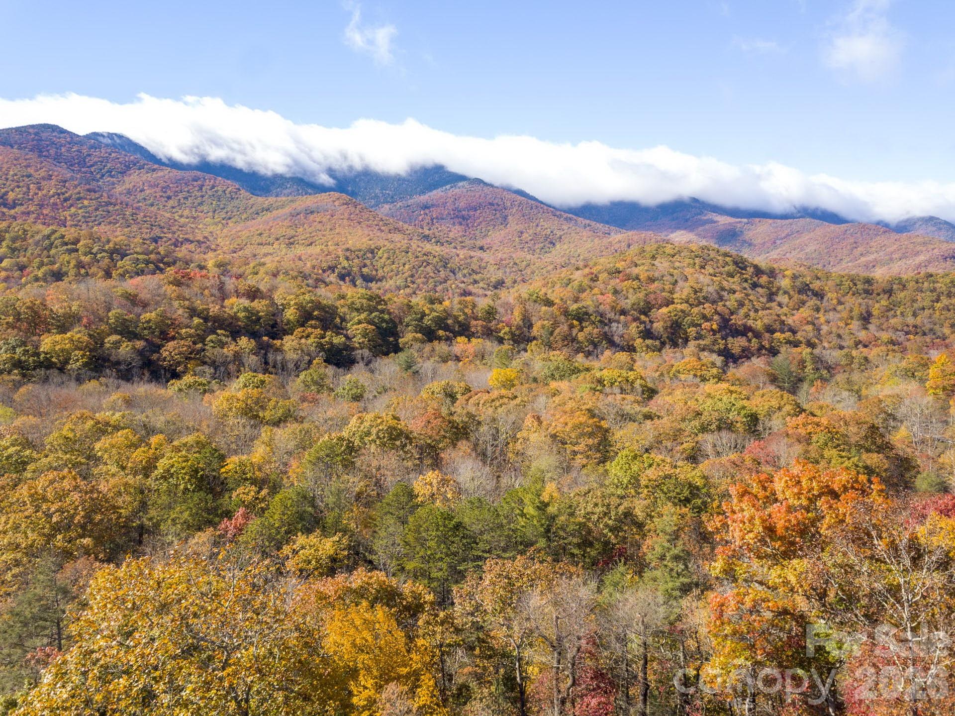 Mt. Mitchell Lands - Land