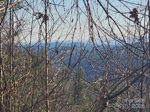 1820 Grapevine Road Marshall NC 28753