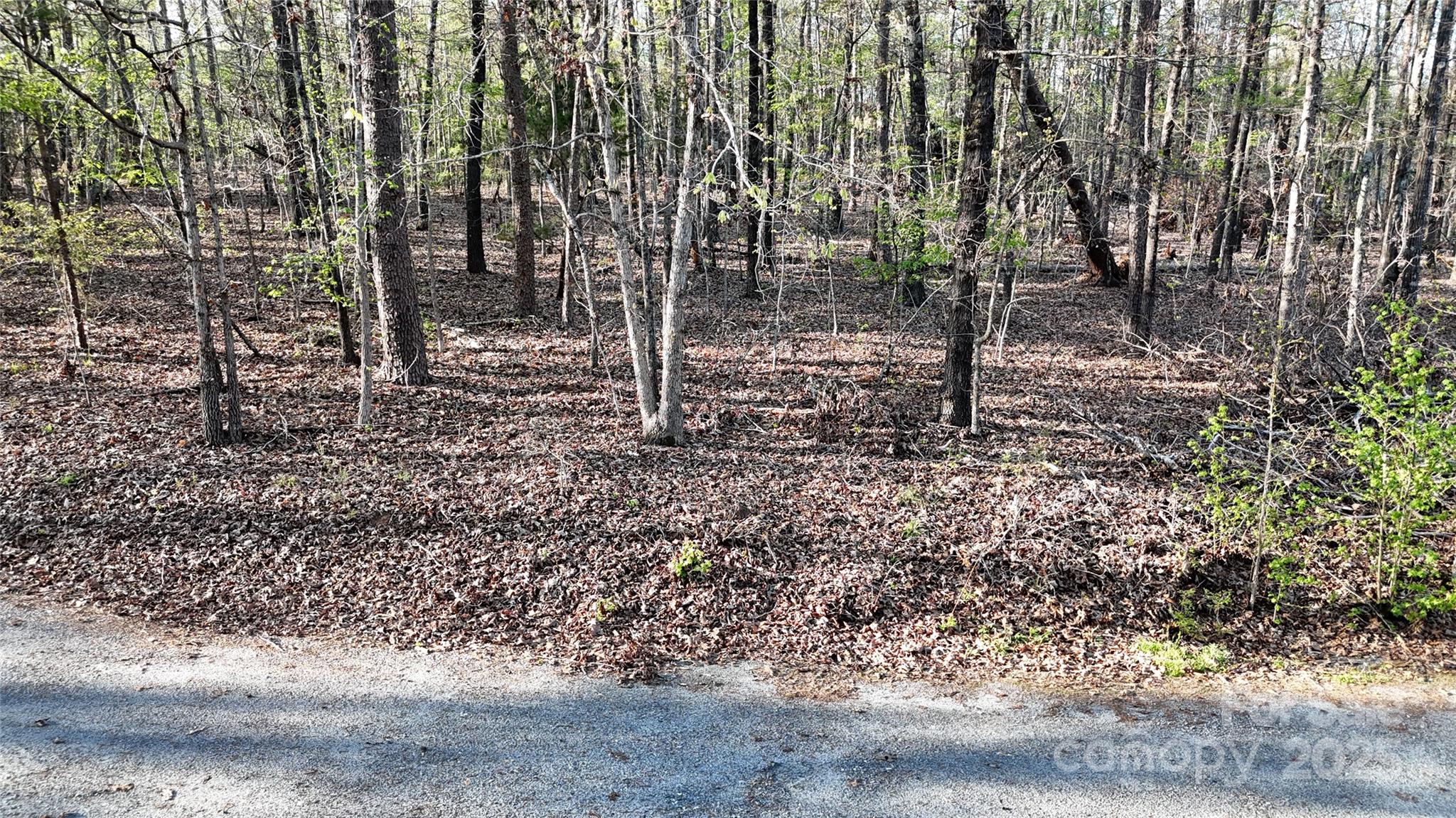 00 Richardson Creek Lane