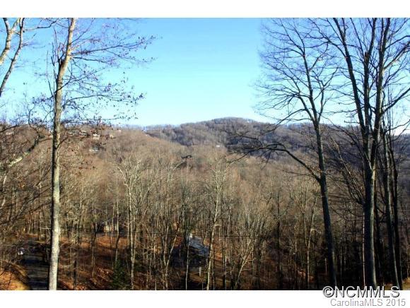 Wolf Laurel - Residential