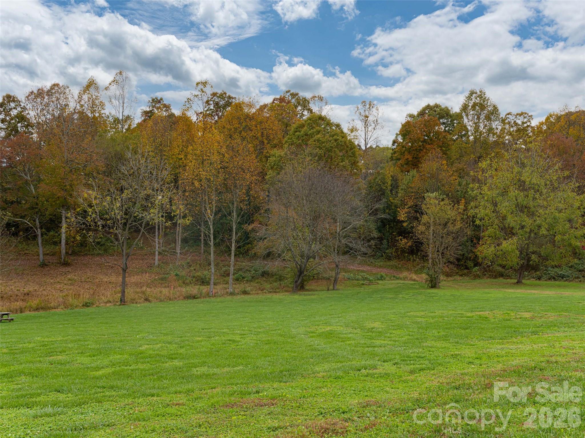 The Farm at Mills River - Land