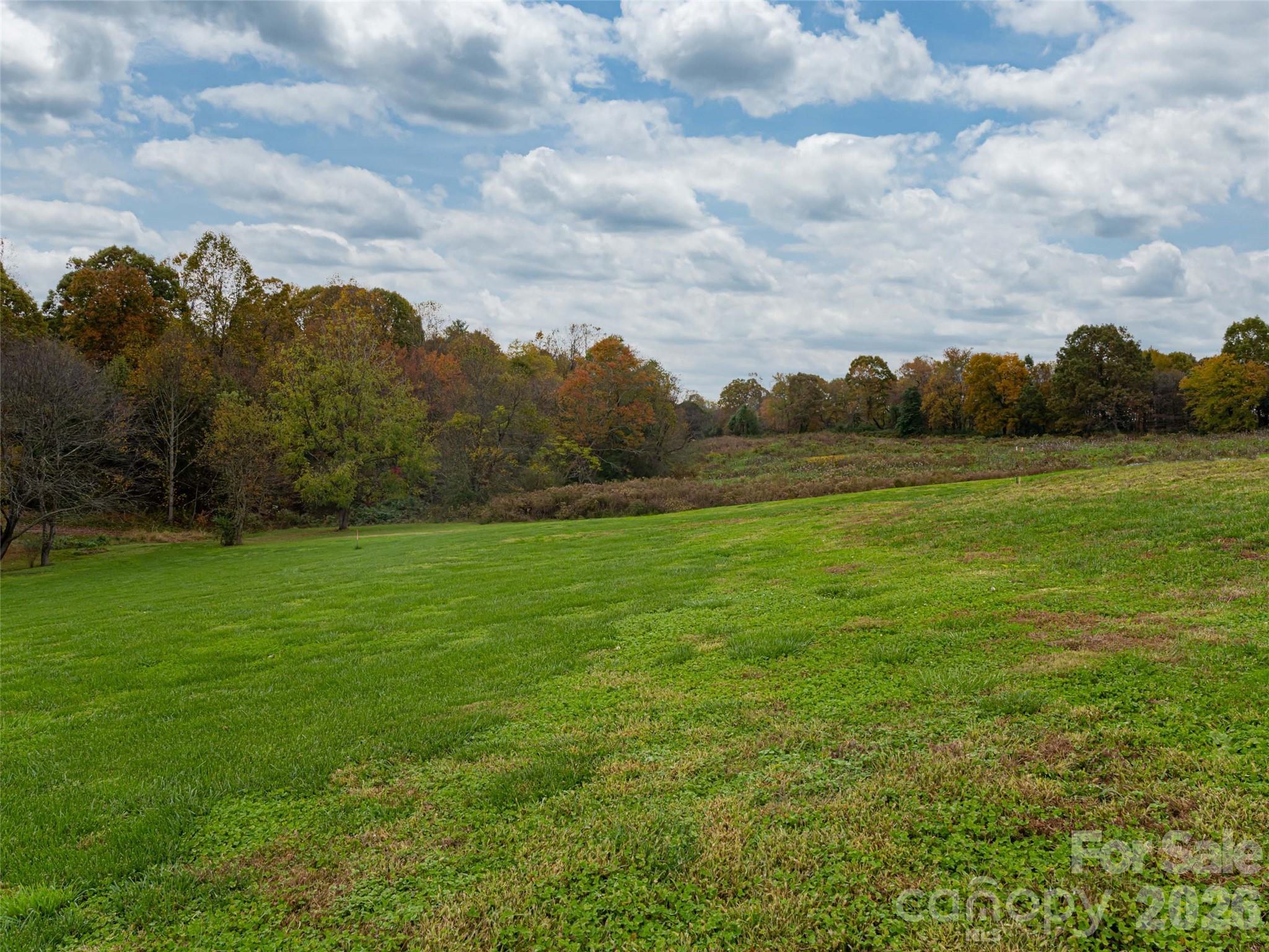 The Farm at Mills River - Land