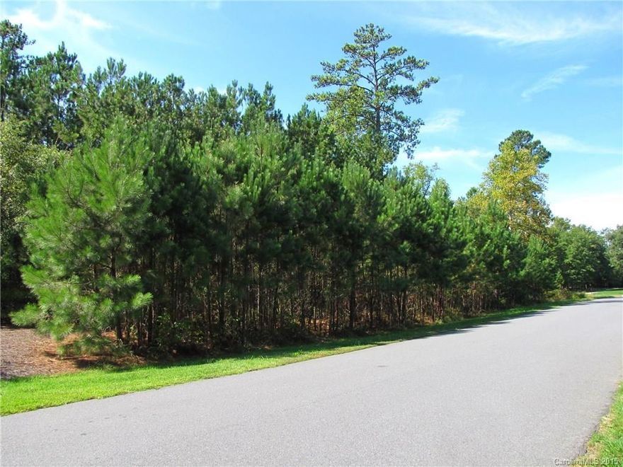 Flat, wooded lot in popular Carolina Coves. One of last remaining lots in neighborhood of executive homes on 1+ acre lots. Country feel but so convenient to shopping, dining, recreation, Lake Wylie and major roads. Award winning schools, low SC taxes.