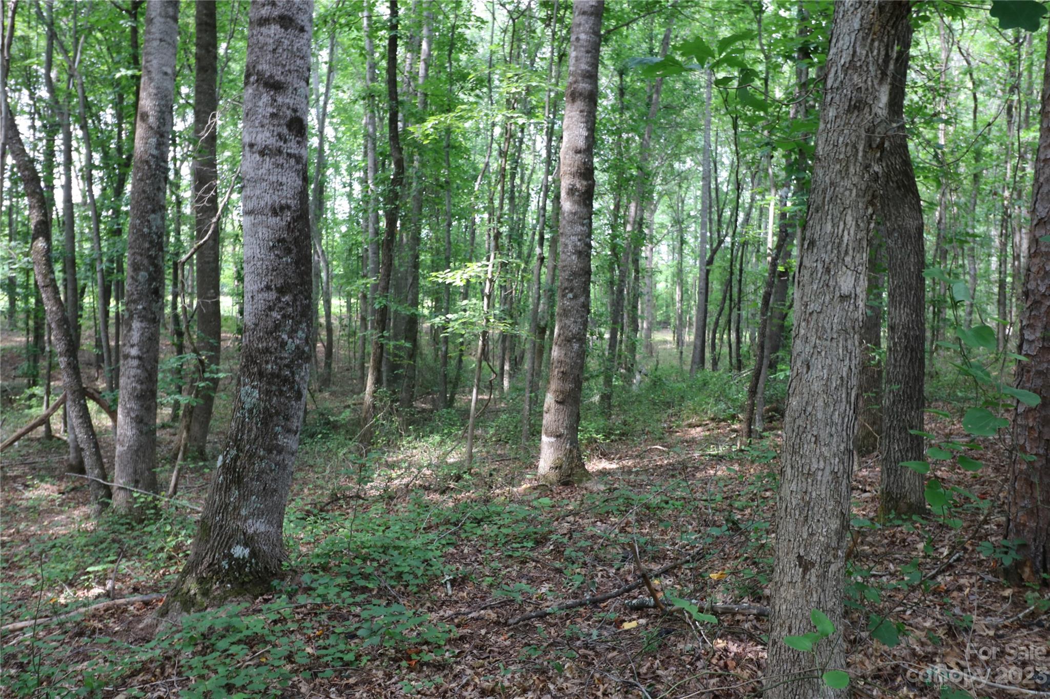 Lot 21 Commercial Drive