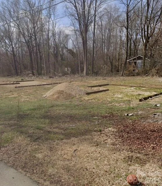 1009 Barbour Street, Salisbury, NC, 28144