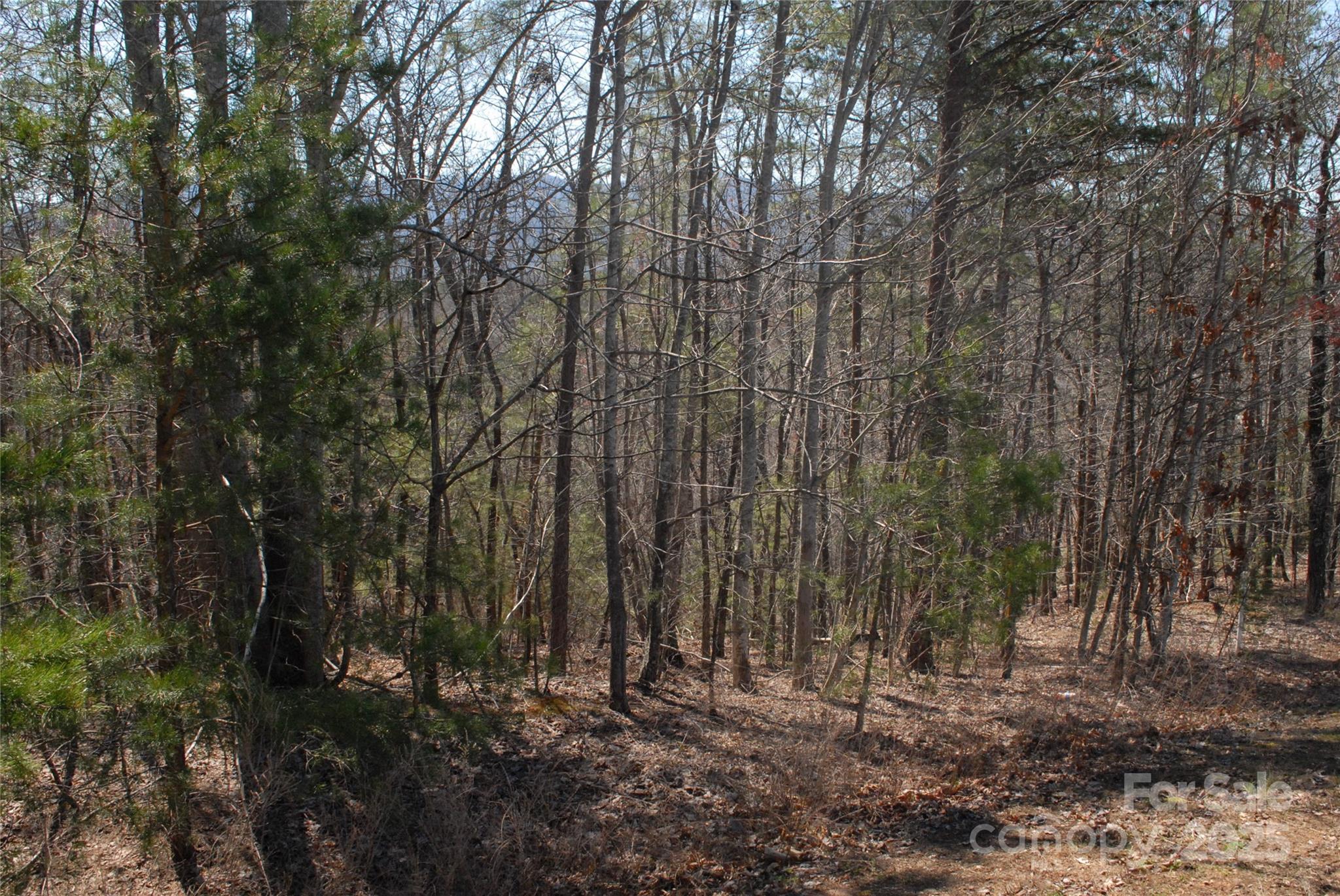00 Deep Gap Farm Road E