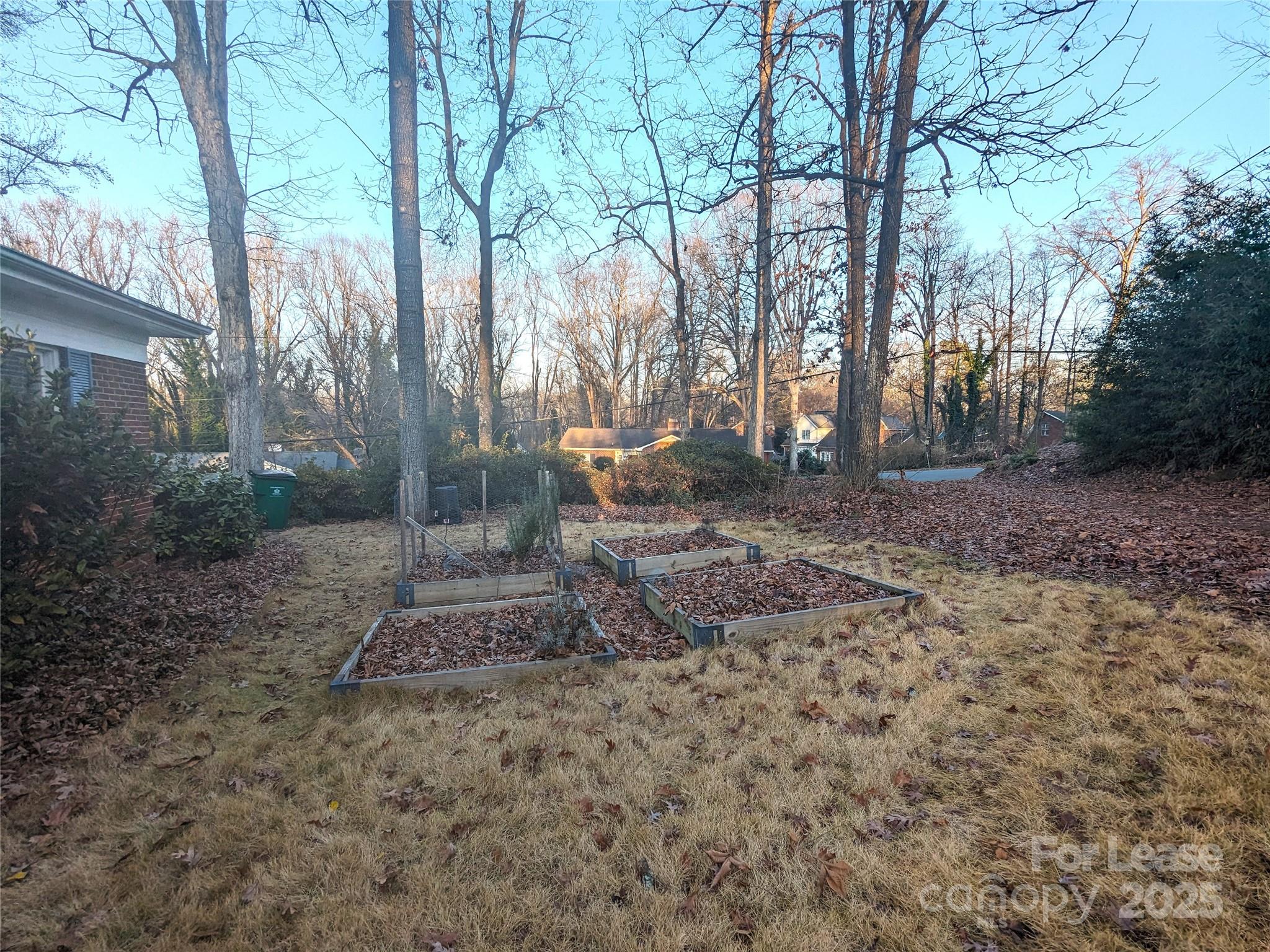 None - Residential Lease