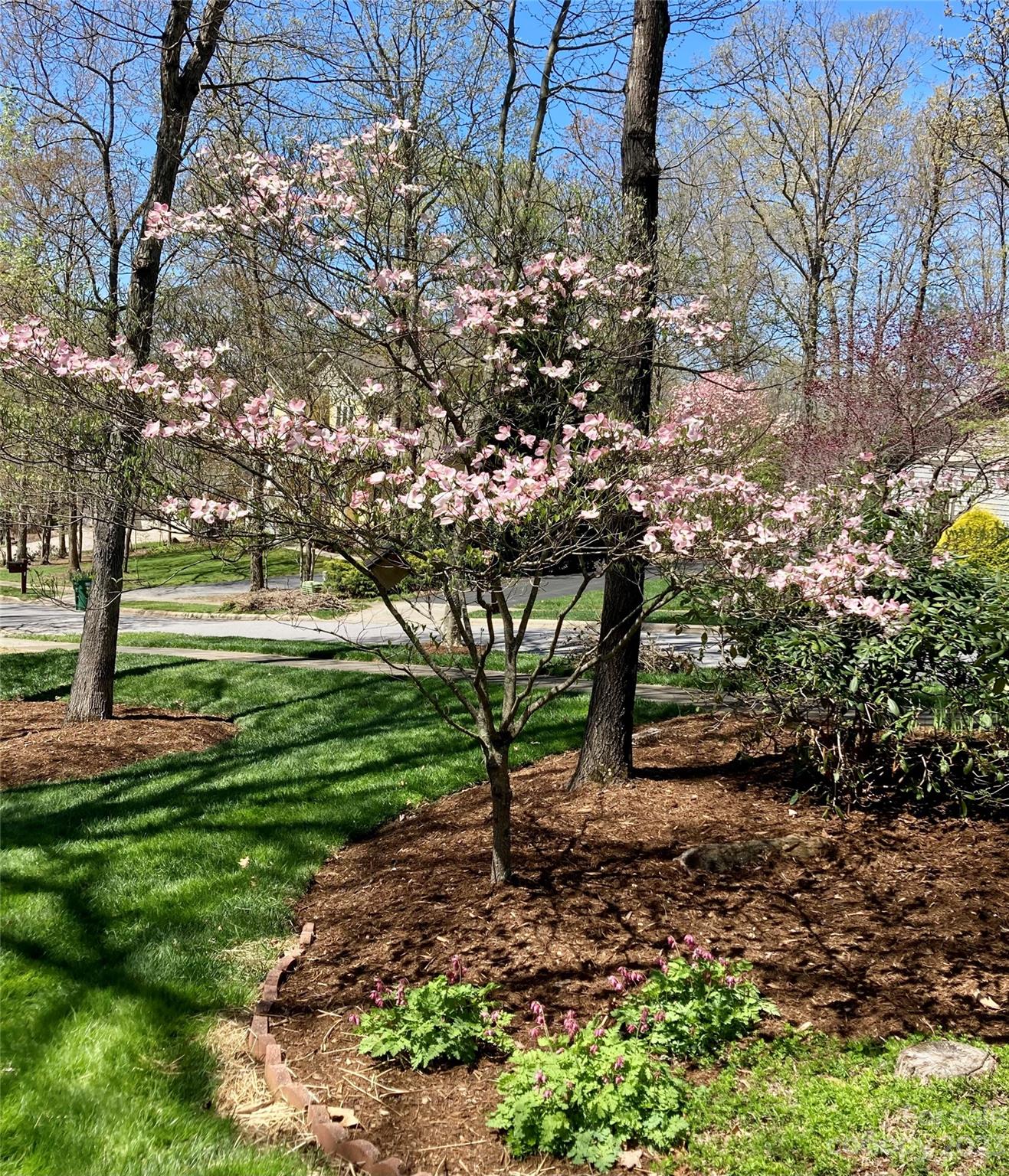 Biltmore Lake - Residential