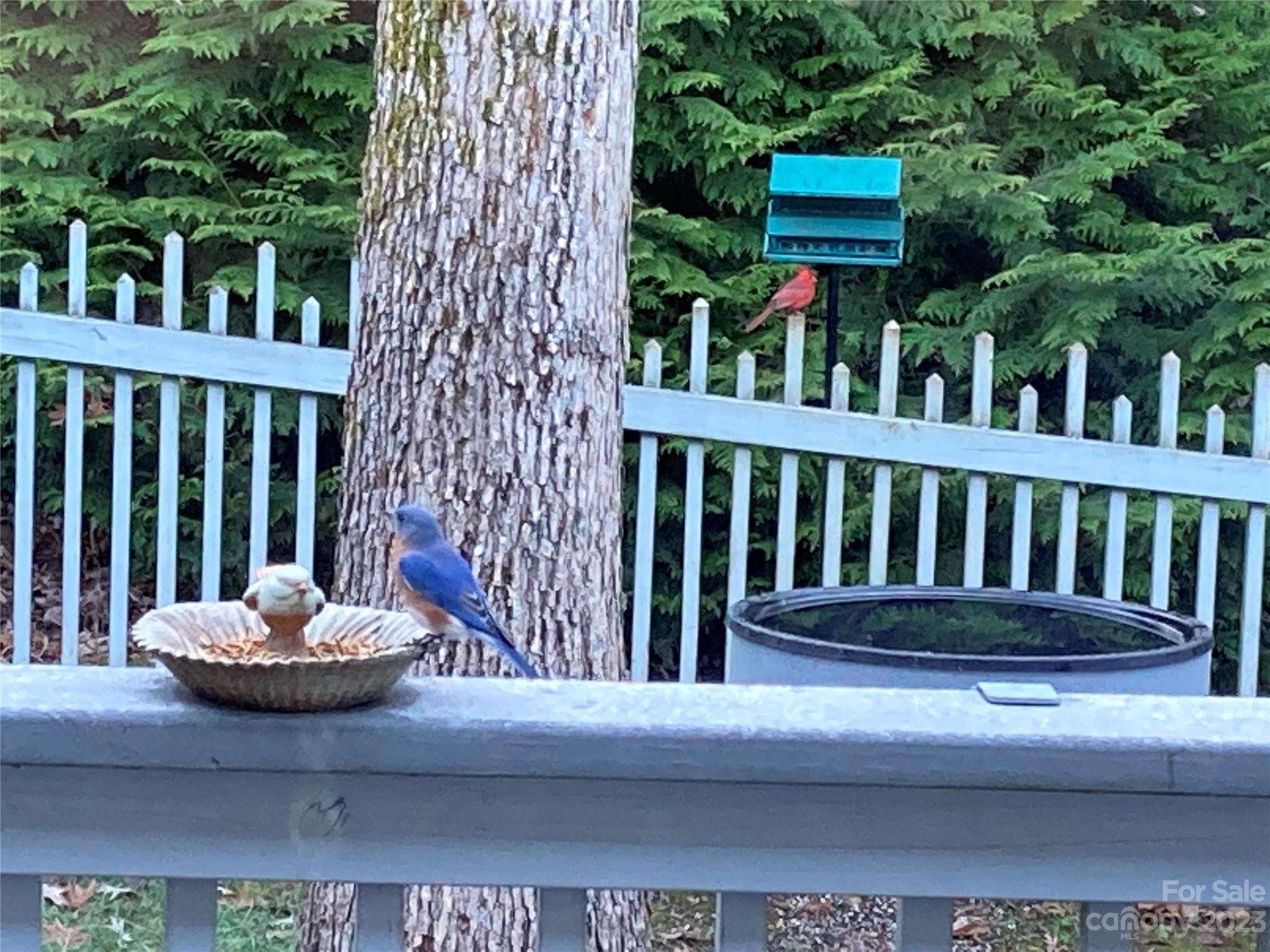 Biltmore Lake - Residential