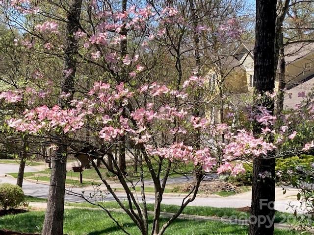 Biltmore Lake - Residential