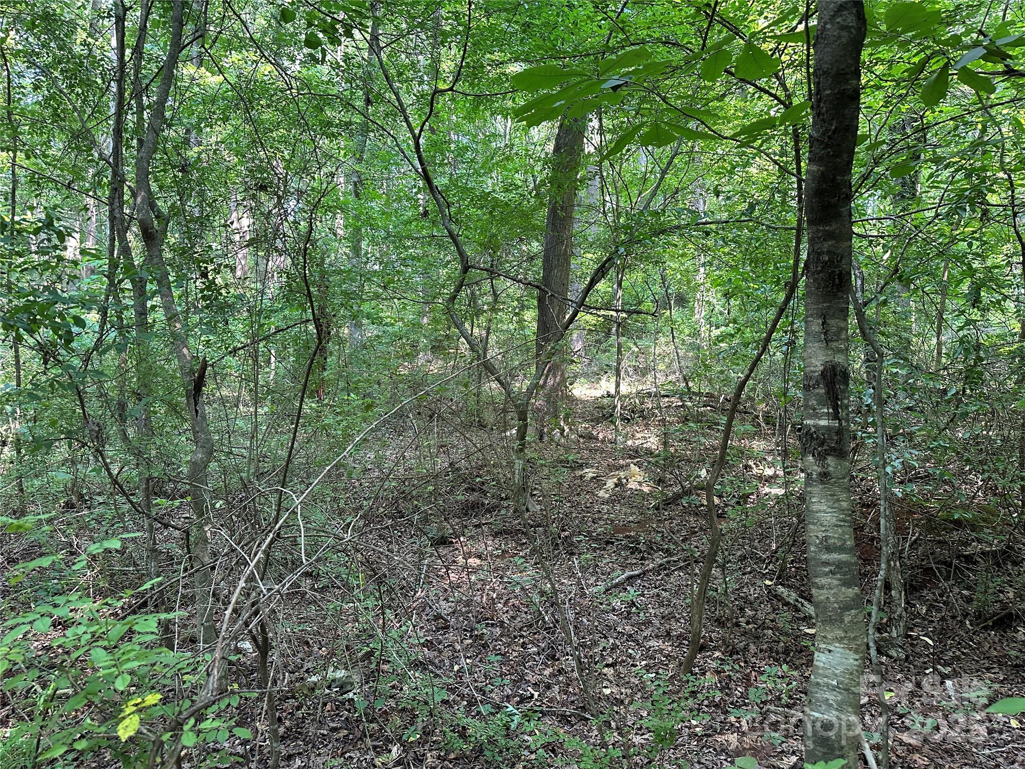 00 Fremont Lane