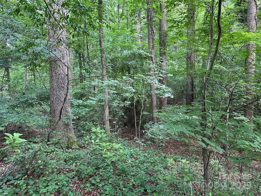 Discover the perfect spot just minutes off I-77! This gently sloping, fully wooded lot offers great road frontage, power and phone access right at the road. With no restrictions and numerous potential building sites, you can create your dream getaway or permanent residence. Enjoy the tranquility of nature while being only 9 minutes from vibrant downtown Elkin. Experience the ideal blend of accessibility and seclusion today! Don't miss out on this incredible opportunity to build in a beautiful setting.