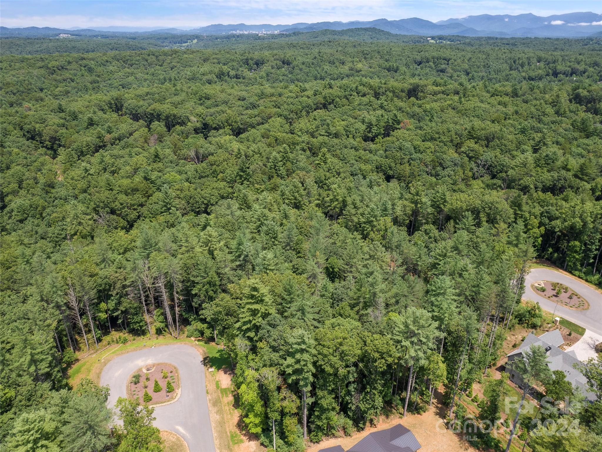 323 Flowering Vine Court 617