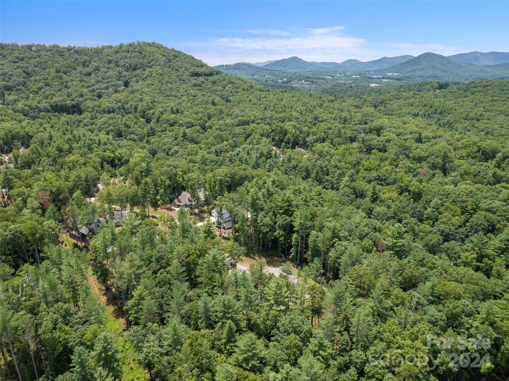 Ramble Biltmore Forest - Land