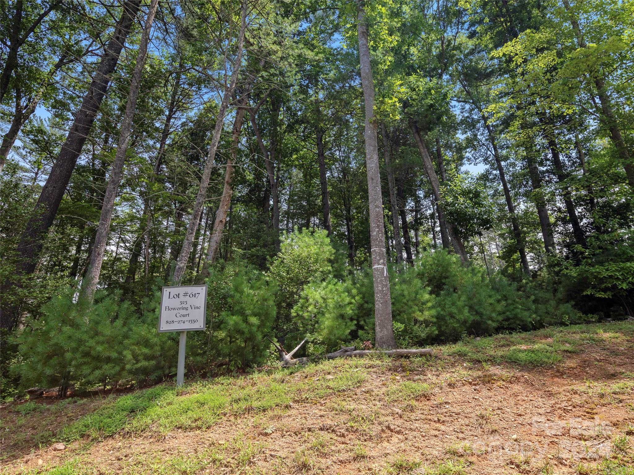 323 Flowering Vine Court 617