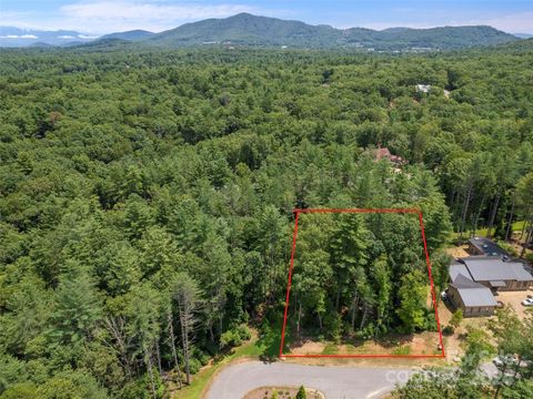 323 Flowering Vine Court 617 Asheville NC 28803