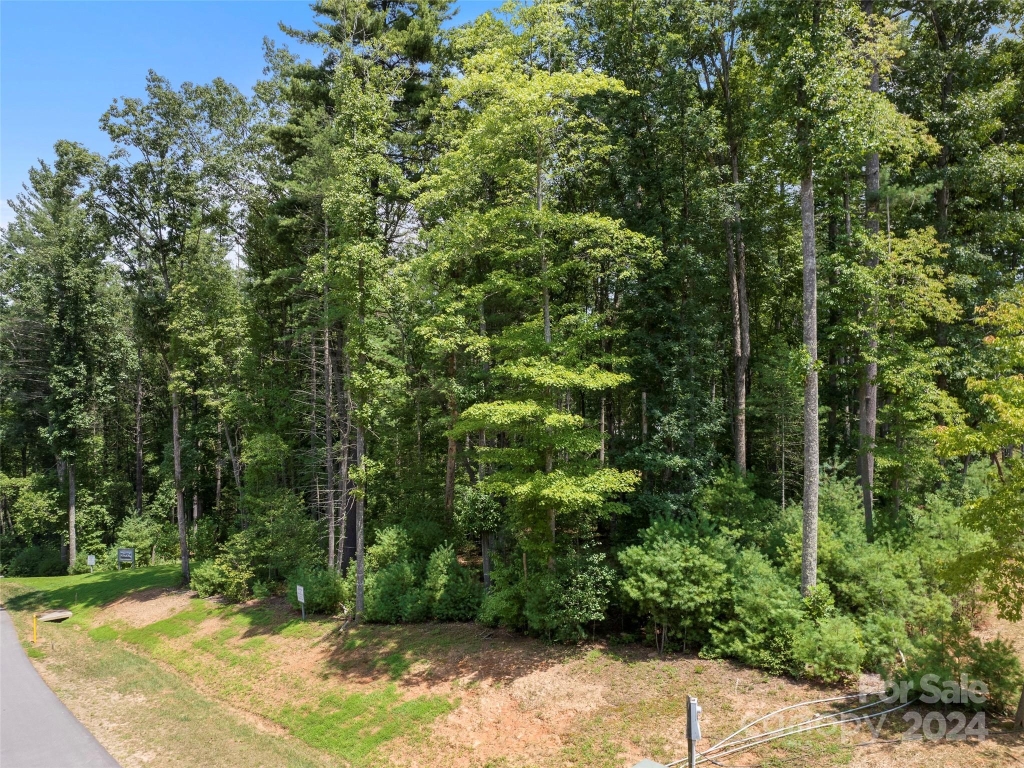 Ramble Biltmore Forest - Land